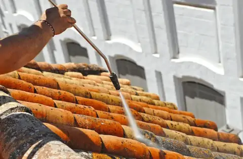 Nettoyage de toitures - Monferran-Savès